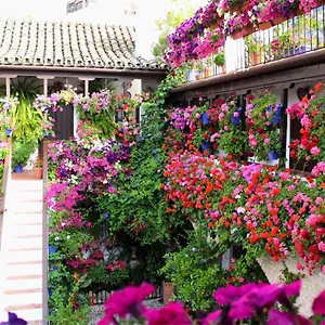  Apartment Puerta A La Mezquita Spain